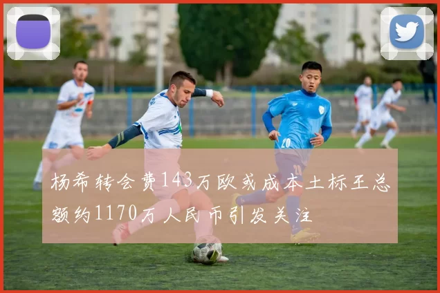 杨希转会费143万欧或成本土标王总额约1170万人民币引发关注