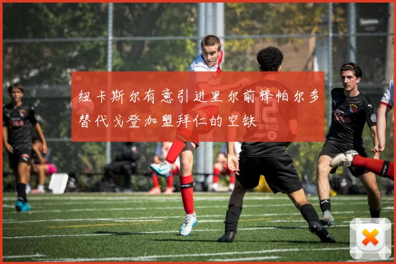 纽卡斯尔有意引进里尔前锋帕尔多替代戈登加盟拜仁的空缺